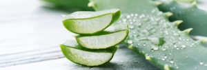Aloe vera