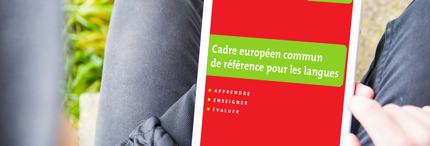 cadre européen commun de référence pour les Langues