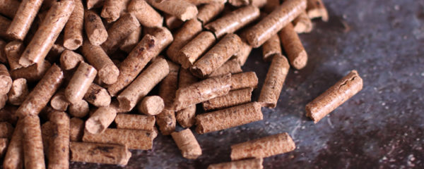 pellets de bois